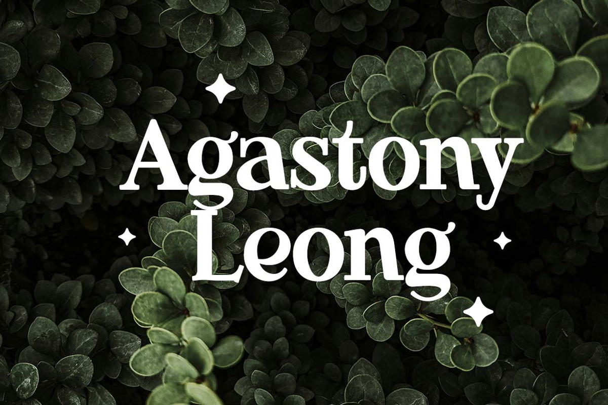 Gardigly Serif Display Font, a Serif Font by UICreative (Photo 10 of 13)