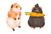 Cute, funny guinea pig animals set, an Animal Illustration by Good Studio (Thumbnail 8 of 14)