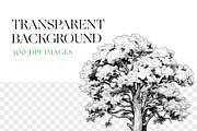 Tree Silhouette Clipart, Bonsai Tree, an Illustration by BrushstrokeArtGB (Thumbnail 8 of 10)