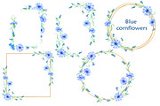 Blue cornflowers bundle, a Decorative Illustration by EshaStudio (Thumbnail 1 of 15)