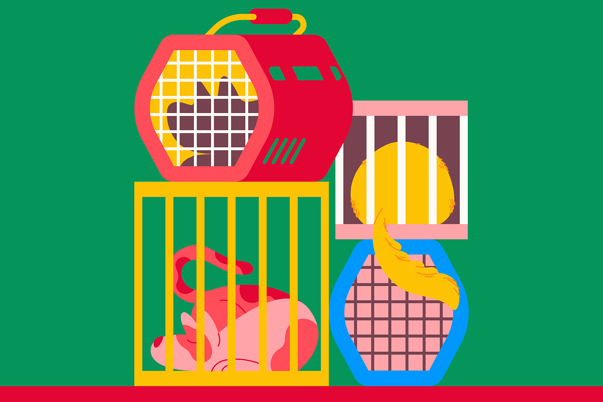 Pet Shelter Full Illustration, an Animal Illustration by graphicook