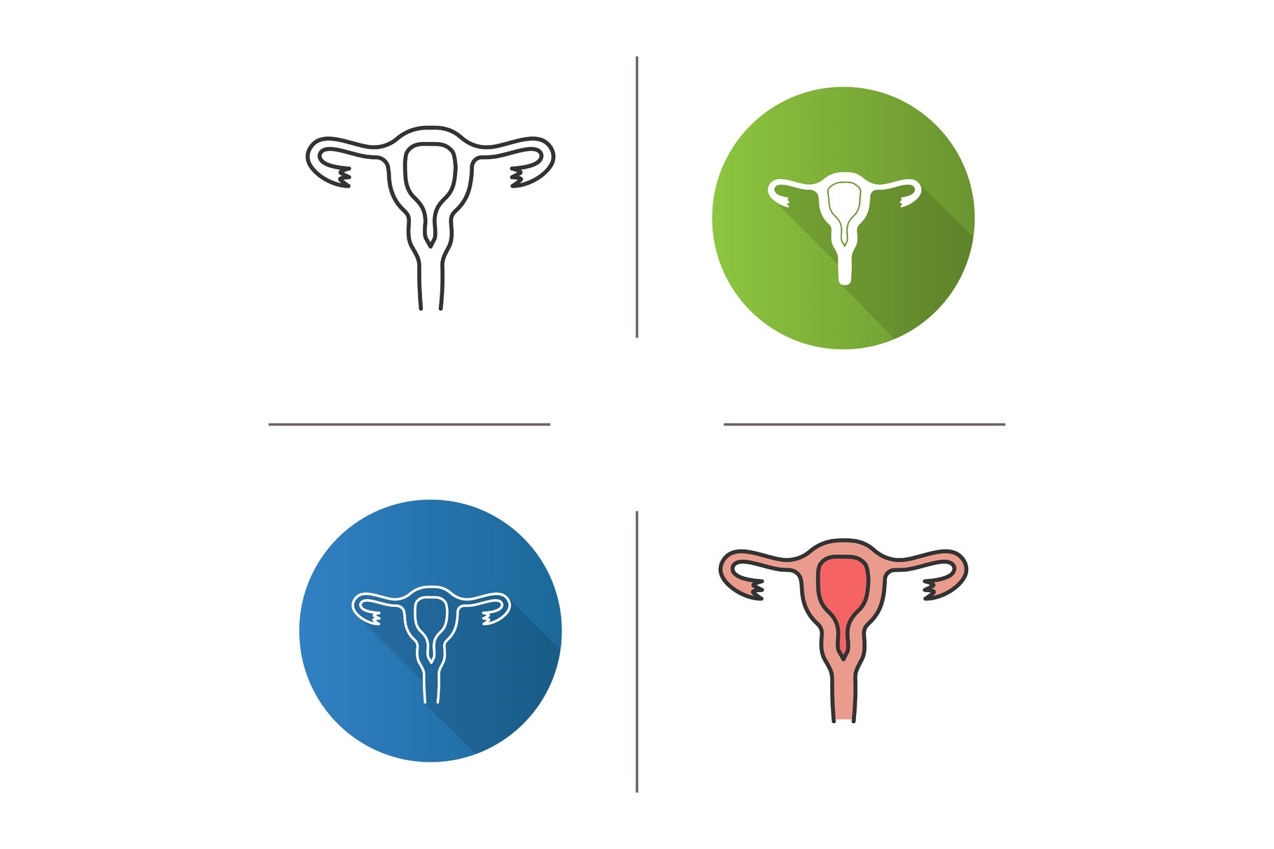 Uterus, fallopian tubes, vagina icon, an Outline Icon by IMG Visuals