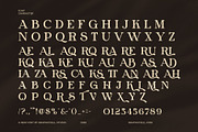 Rosela Modern Serif Font Typeface, a Serif Font by Graphicxell (Thumbnail 8 of 8)