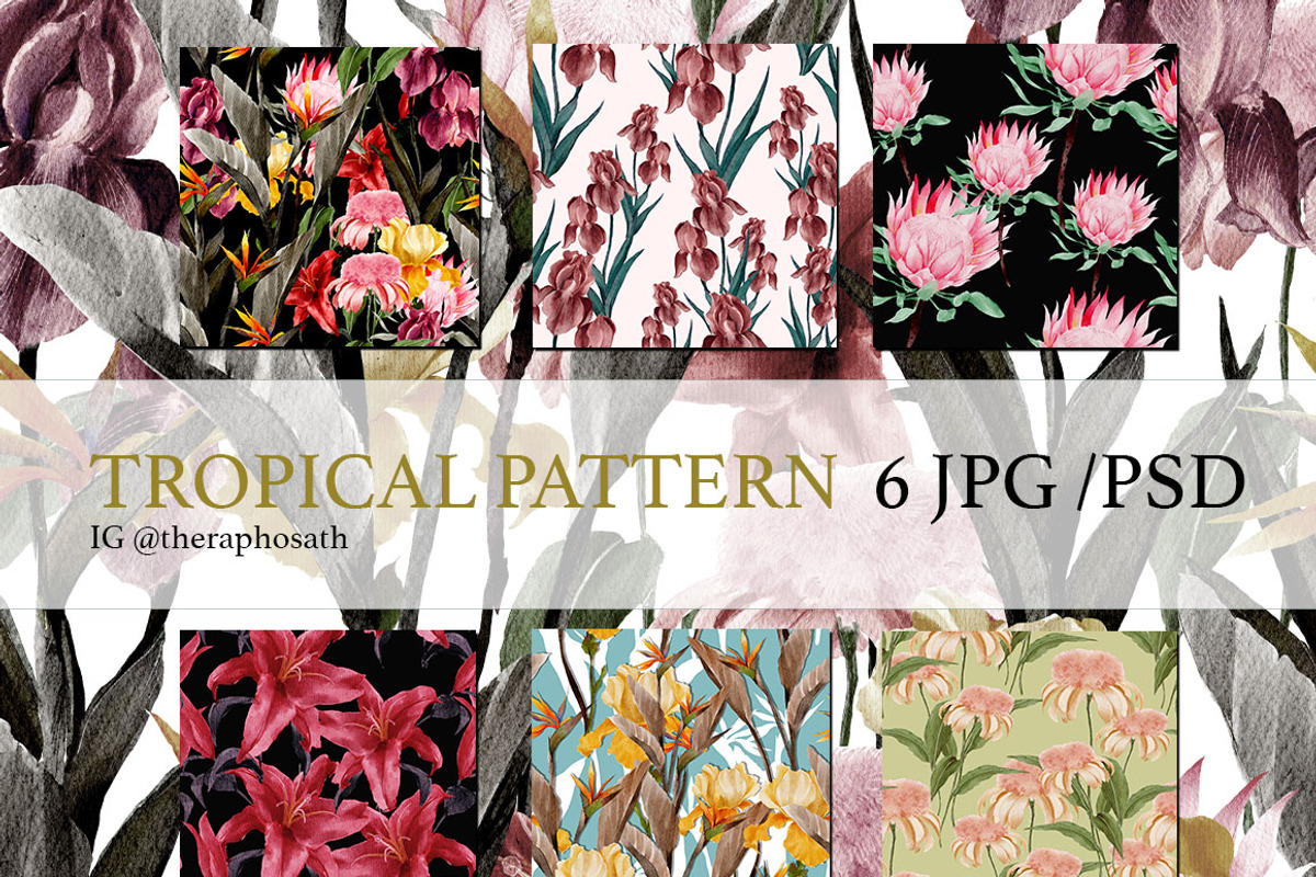 6 JPG+PSD /Flower Pattern, a Pattern Graphic by Theraphosath (Photo 1 of 7)
