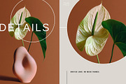 Bloom Atelier | 345 stock images, a Nature Photo by Tale.Haus (Thumbnail 18 of 20)