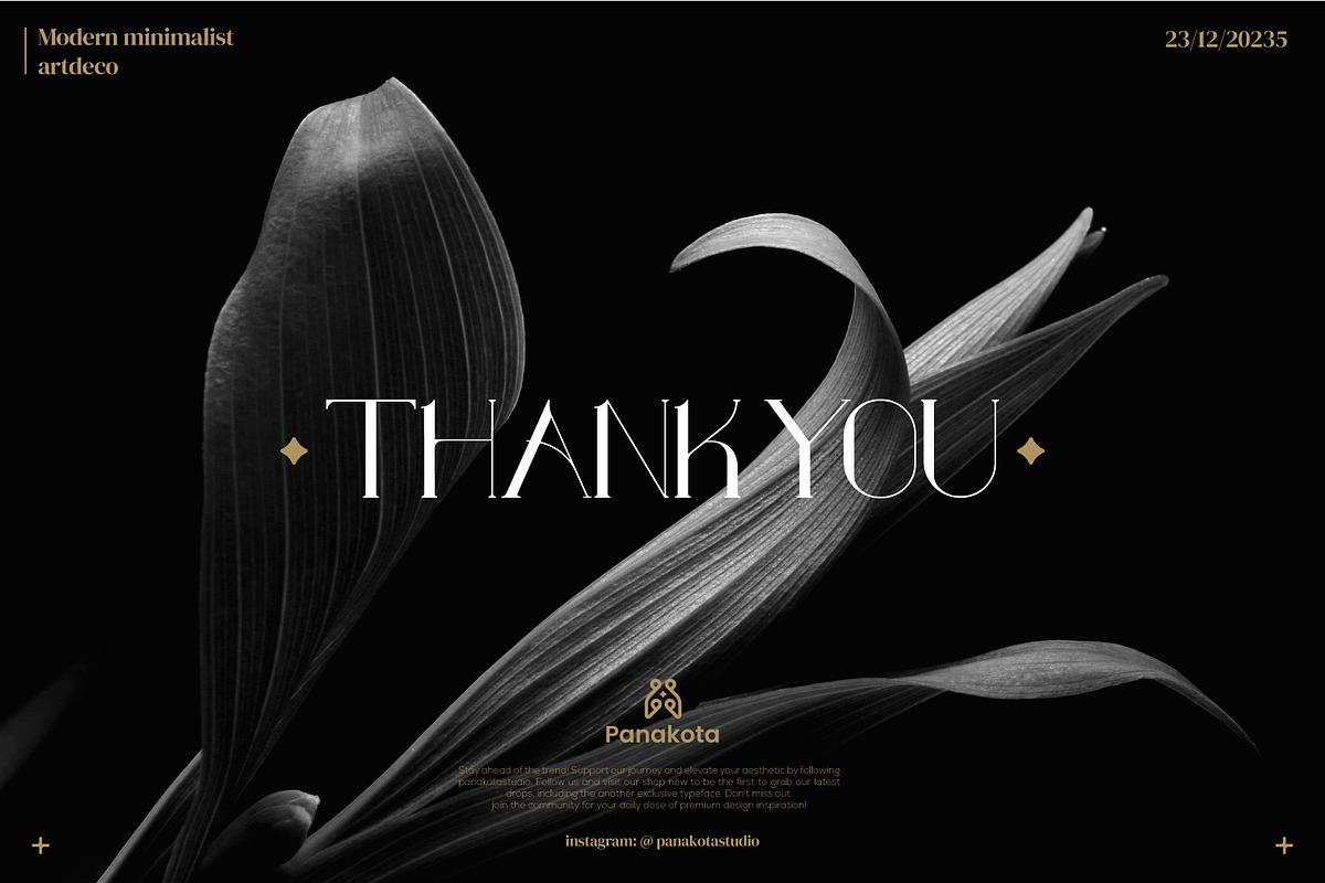 Fashion Vogue, a Serif Font by panakota studio (Photo 9 of 9)