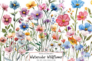Watercolor Wildflower Clipart, an Illustration by OK Design