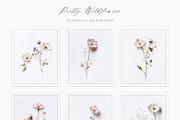 Pretty Wildflowers I Pressed Flowers, a Background Graphic by by creative paper (Thumbnail 10 of 14)