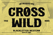 Crosswild - Blackletter Font, a Blackletter Font by AQR Studio (Thumbnail 1 of 8)