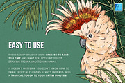 111 Tropical Stamps for Affinity, a Brush Add-On by Riveros Illustration (Thumbnail 7 of 13)