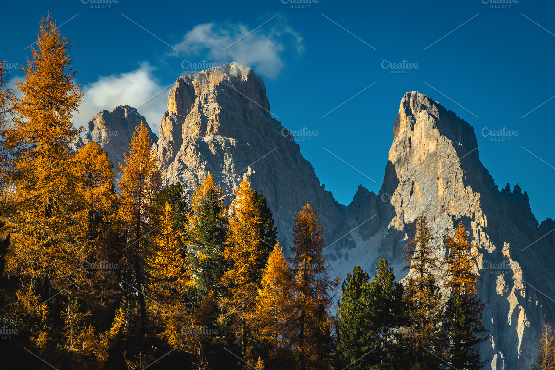 Autumn larch forest and mountains, a Nature Photo by Alpine Dreams