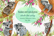 Koala & eucalyptus set illustration, an Animal Illustration by MitrushovaArt (Thumbnail 1 of 7)