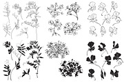 Wildherbs and flowers., an Object Graphic by maritime_m (Thumbnail 7 of 8)