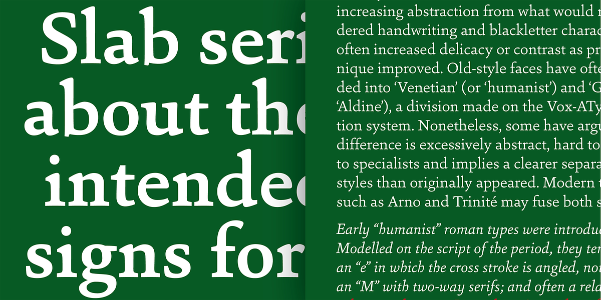 Sina, a Serif Font by Hoftype (Photo 4 of 15)