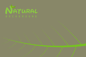 Natural Design Template Illustration