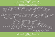Belluccia Pro Font, a Script Font by Debi Sementelli (Thumbnail 5 of 5)