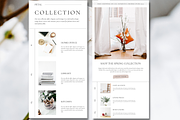 Canva Email Marketing Template, a Marketing Template by The Edits Shop (Thumbnail 2 of 8)