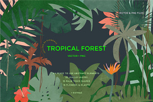 TROPICAL FOREST JUNGLE LEAVES