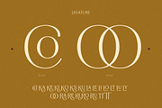 Borest - Elegant Roman Sans Serif, a Sans Serif Font by Flavortype (Thumbnail 6 of 21)