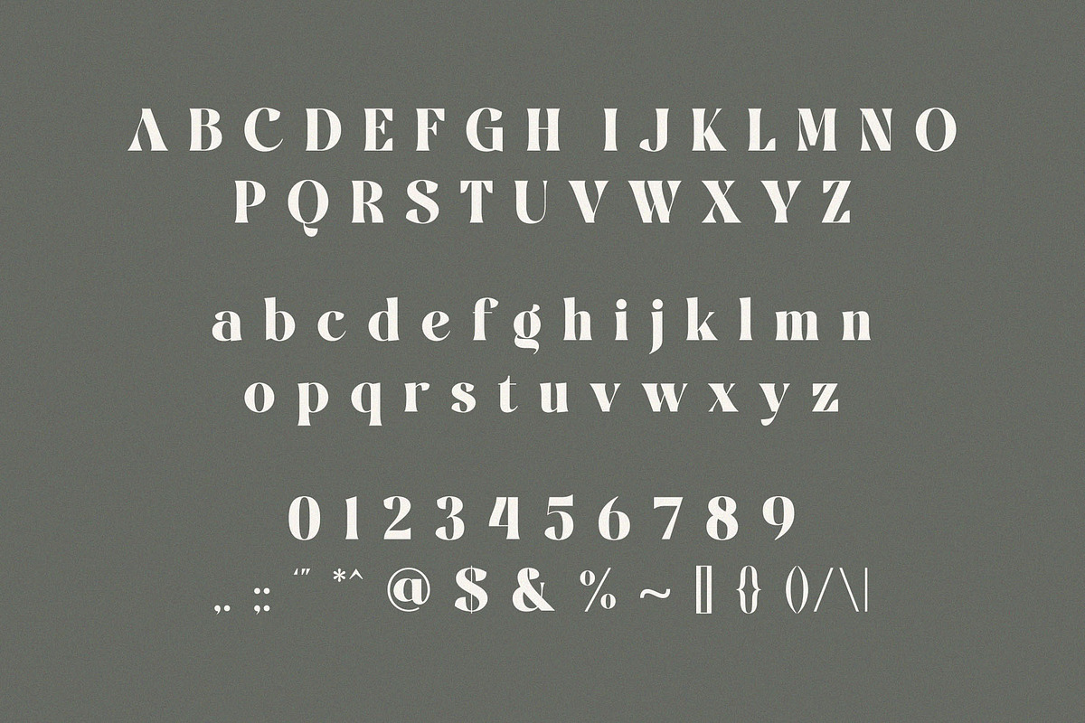 Western Finalist – Vintage Serif, a Serif Font by BrandSemut (Photo 8 of 8)