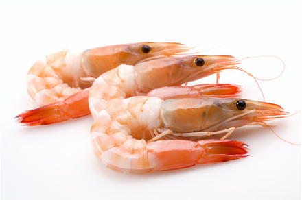 Fresh shrimp. Generate Ai, a Food & Drink Photo by Ylivdesign