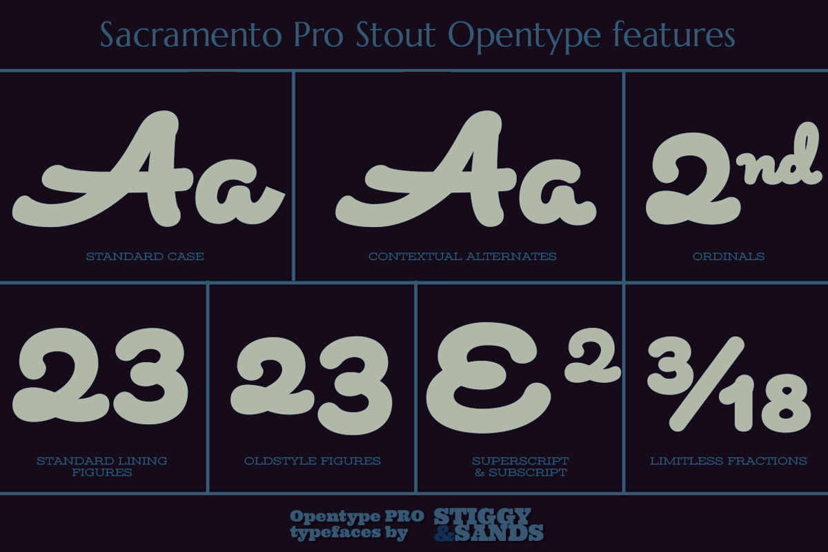 Sacramento Pro Stout preview 4