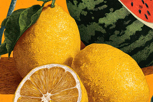 Vintage Engraved Tropical Still Life With Watermelon Lemon Citru, a Background Photo by José Manuel Gelpi