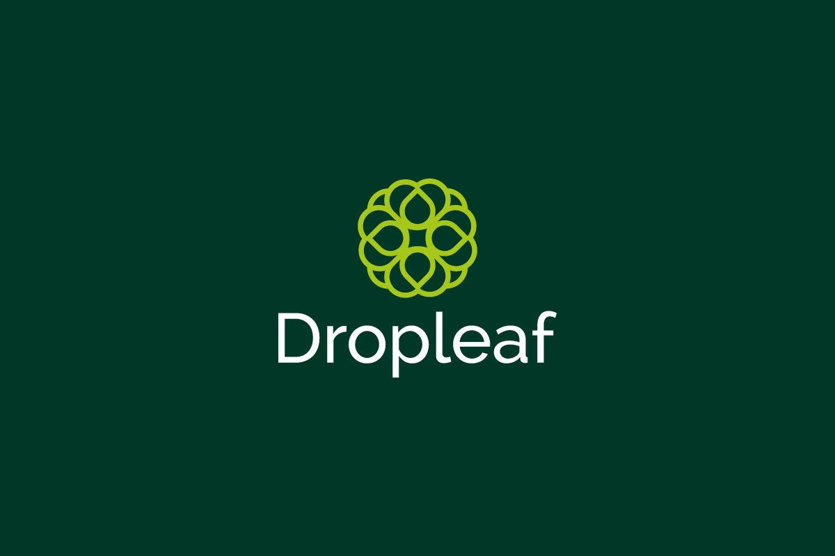 Modern Nature-Inspired Leaf Logo preview 6