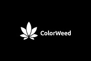 Color Weed / Marijuana / Cannabis, a Branding & Logo Template by bvcreates (Thumbnail 8 of 8)