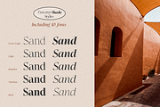 Tuscany Shade, a Serif Font by Larin Type Co. (Thumbnail 5 of 20)