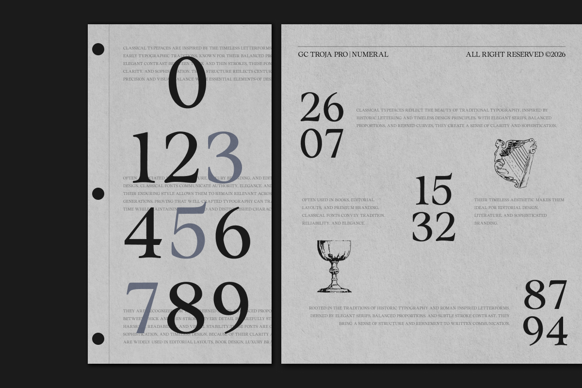 GC Troja Pro - Classic Retro Serif, a Serif Font by Glyphonic (Photo 3 of 15)