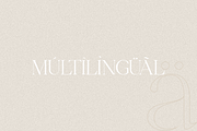 Cotton Kindly - Modern Serif Font, a Serif Font by ClevUs (Thumbnail 10 of 12)