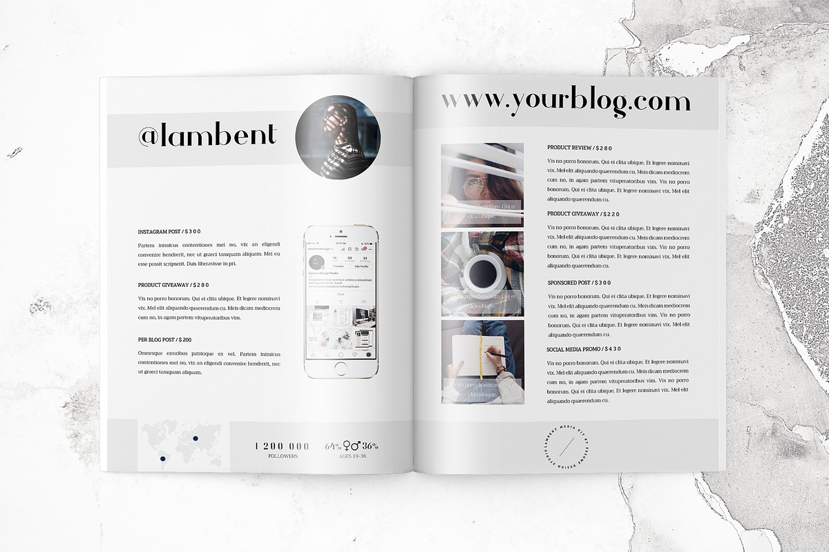 5 Page Media Kit Template, a Stationery Template by Eesome Design Studio (Photo 2 of 8)