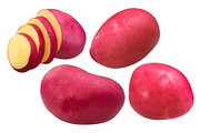Red potatoes, an Object Graphic by Hortimages (Thumbnail 1 of 2)