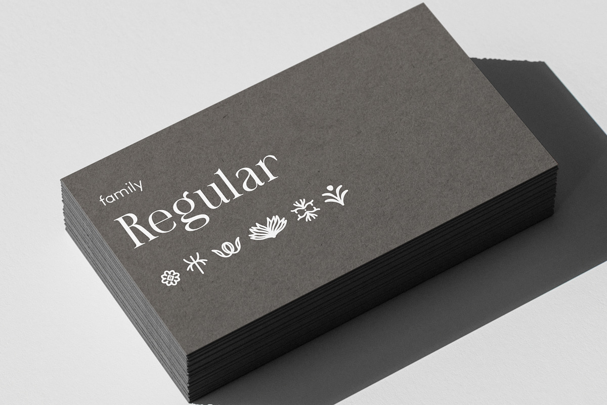 Amarieta Elegant Font, a Serif Font by Hishand Studio (Photo 5 of 10)