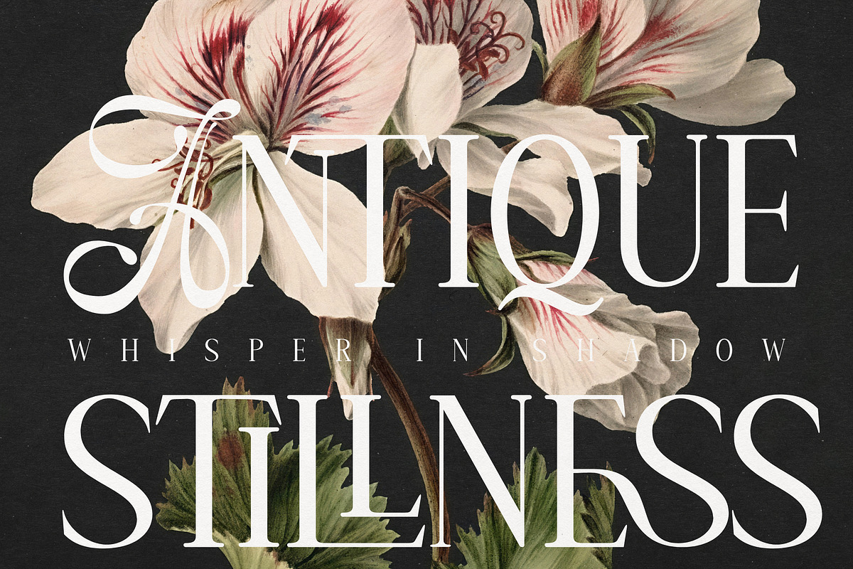 Amelissa Partis, a Serif Font by Madjack.font (Photo 5 of 11)