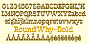 RoundWhy, a Font by Ingrimayne Type (Thumbnail 3 of 6)