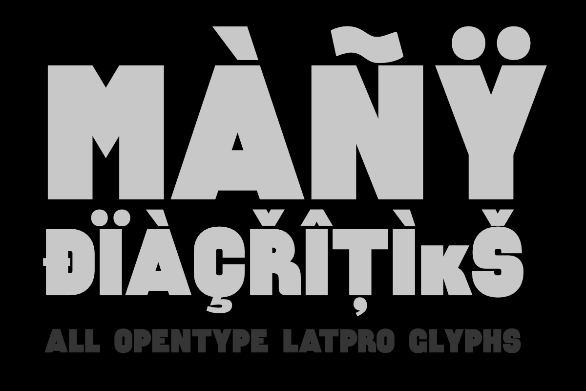 Lugoj, a Sans Serif Font by Tudor Banciu (Photo 2 of 4)