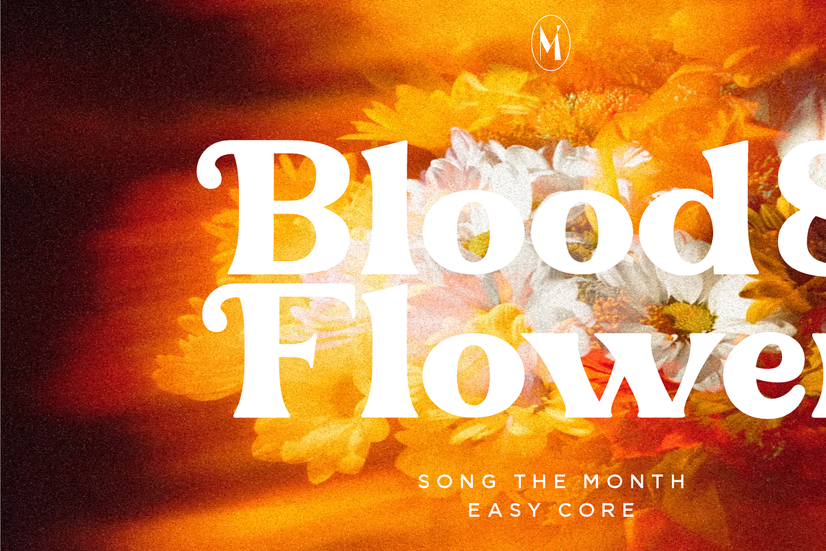 Magnolia Vulgaris, a Serif Font by elevencreateam (Photo 6 of 8)