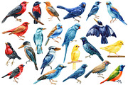 Tropical birds watercolor clipart, an Animal Illustration by Hanna Hryharenka (Thumbnail 2 of 12)