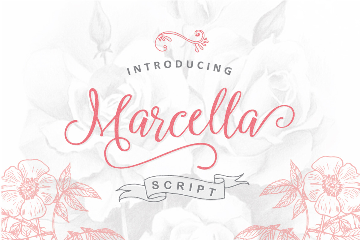 Marcella Script, a Script Font by ianmikraz (Photo 1 of 5)