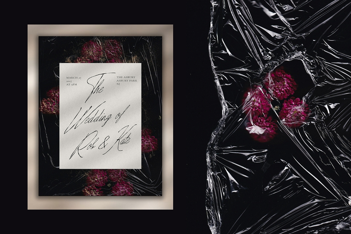 Noir Botanica Scanographs, a Texture Graphic by House of Delfina (Photo 8 of 11)