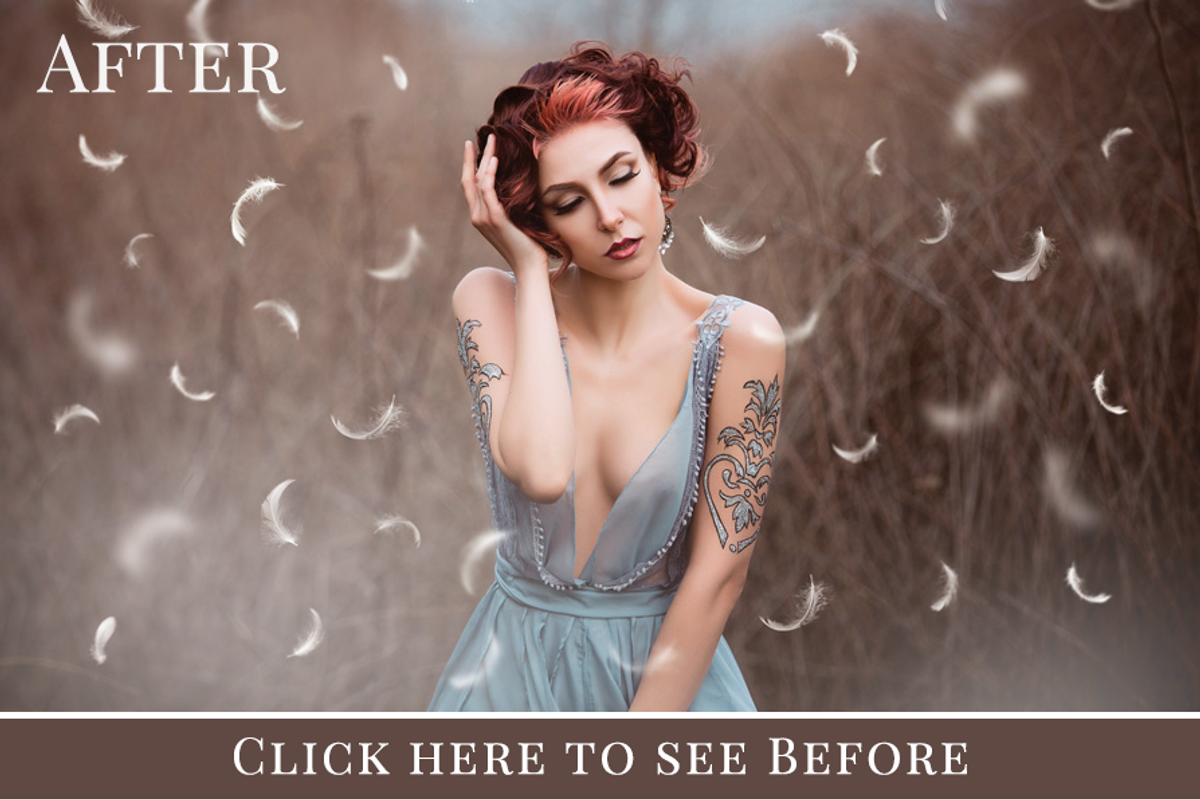 Flying Feathers photo overlays, an Object Graphic by BrownLeopard (Photo 3 of 6)