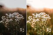Floral Lightroom Presets, a Layer Style Add-On by Rapita Photography© (Thumbnail 8 of 11)
