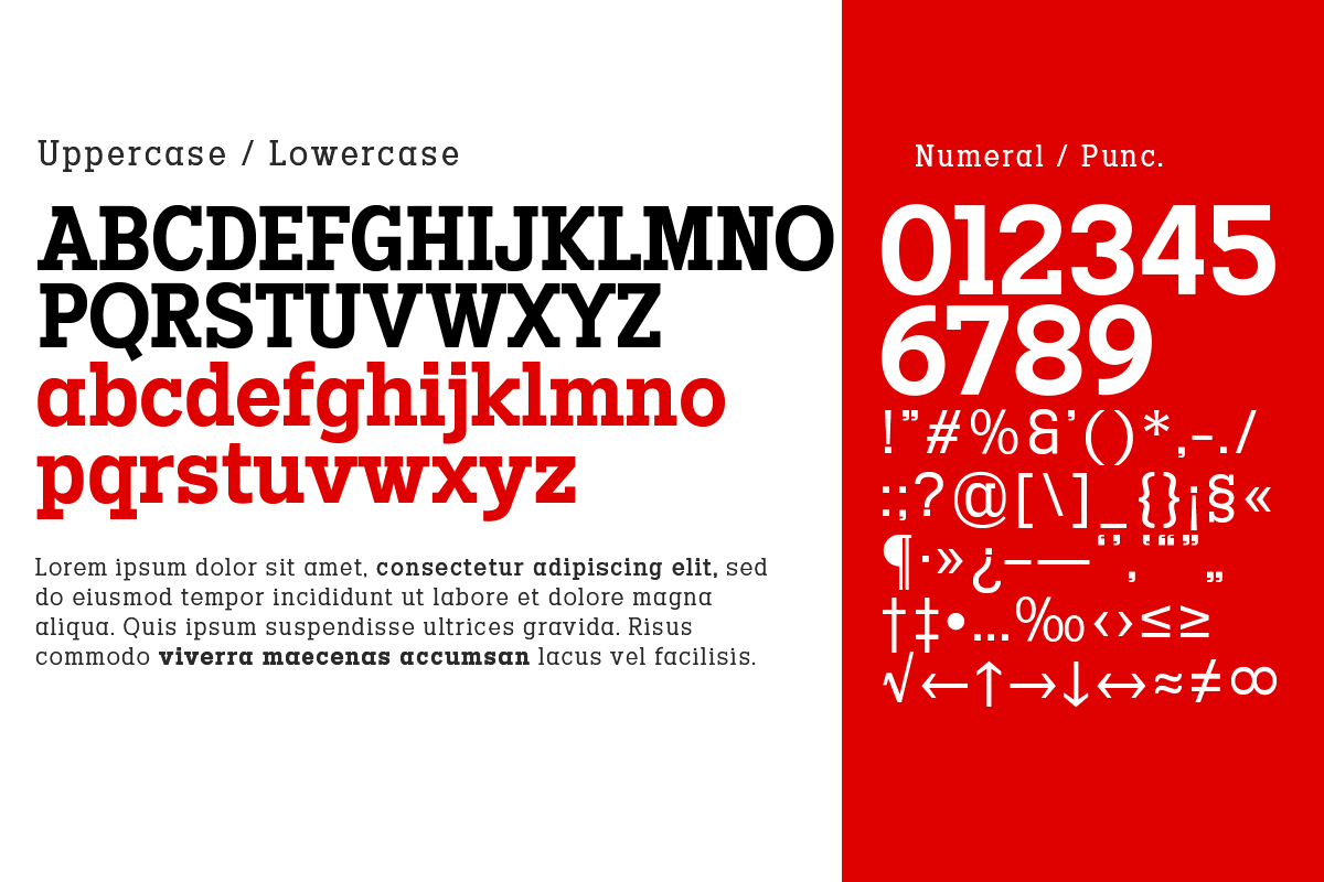 Codename FX, a Slab Serif Font by Differentialtype (Photo 3 of 10)