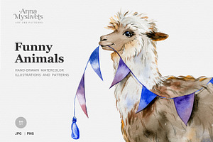 Funny Animals