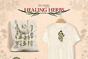 Healing Herbs * Botanical Bundle, a Healthcare Illustration by Ink Stories (Thumbnail 13 of 13)