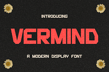 Vermind Display Modern Typeface