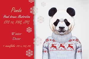 Panda / Winter time