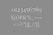Wensley Modern Serif Font Family, a Serif Font by Creativetacos (Thumbnail 4 of 8)